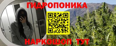 тгк Краснодар
