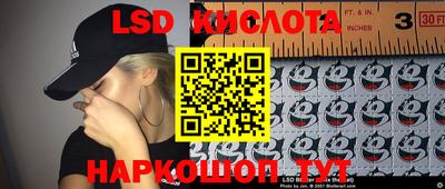 гидропоника Краснознаменск