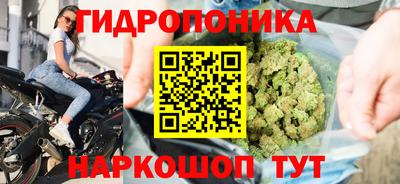 тгк Краснодар