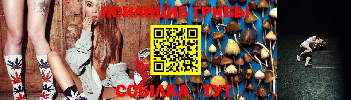 Псилоцибиновые грибы ЛСД Кимовск
